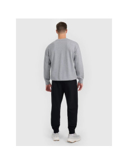 Spodnie dresowe joggery męskie 4f 4frmm00ttrom1624-20s 2