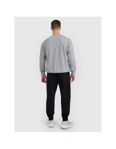 Spodnie dresowe joggery męskie 4f 4frmm00ttrom1624-20s