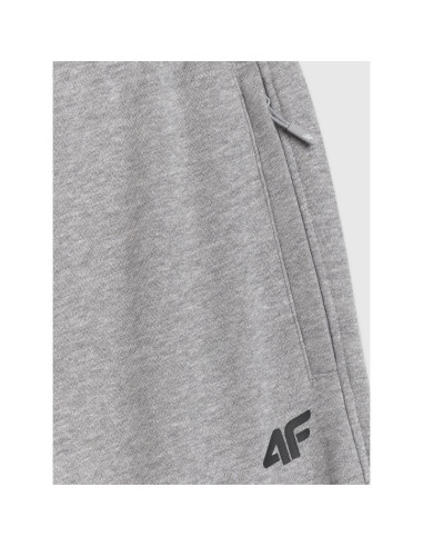 Spodnie dresowe joggery męskie 4f 4frmm00ttrom1624-27m