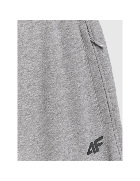 Spodnie dresowe joggery męskie 4f 4frmm00ttrom1624-27m