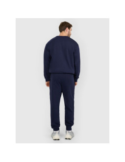 Spodnie dresowe joggery męskie 4f 4frmm00ttrom1624-31s 2