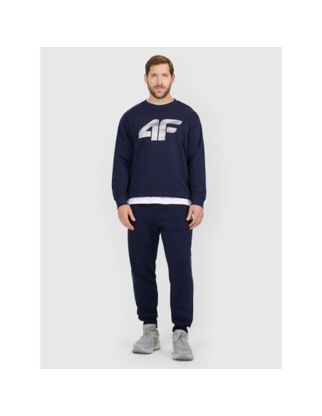 Spodnie dresowe joggery męskie 4f 4frmm00ttrom1624-31s