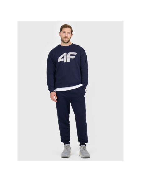 Spodnie dresowe joggery męskie 4f 4frmm00ttrom1624-31s