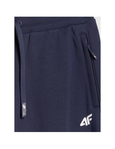 Spodnie dresowe joggery męskie 4f 4frmm00ttrom1624-31s