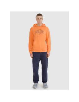 Bluza dresowa nierozpinana z kapturem męska 4f 4frss25tswsm2201-70s 2