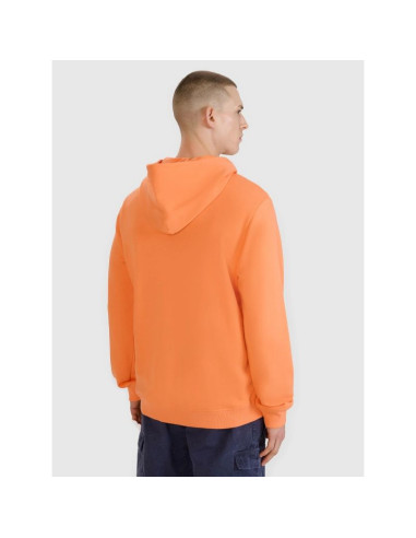 Bluza dresowa nierozpinana z kapturem męska 4f 4frss25tswsm2201-70s