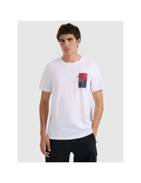 T-shirt regular z nadrukiem męski 4f 4fraw25ttshm3256-10s