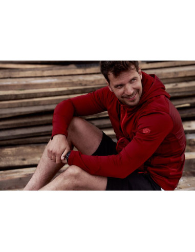 Bluza iguana scone m