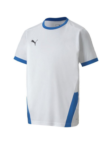 Koszulka puma teamgoal 23 jersey jr 704160