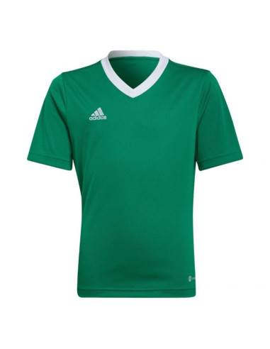 Koszulka adidas entrada 22 jersey jr
