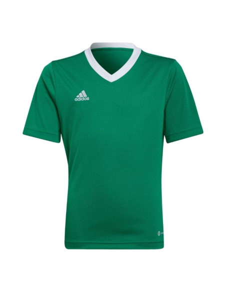 Koszulka adidas entrada 22 jersey jr