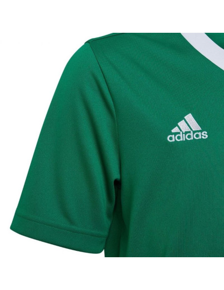 Koszulka adidas entrada 22 jersey jr