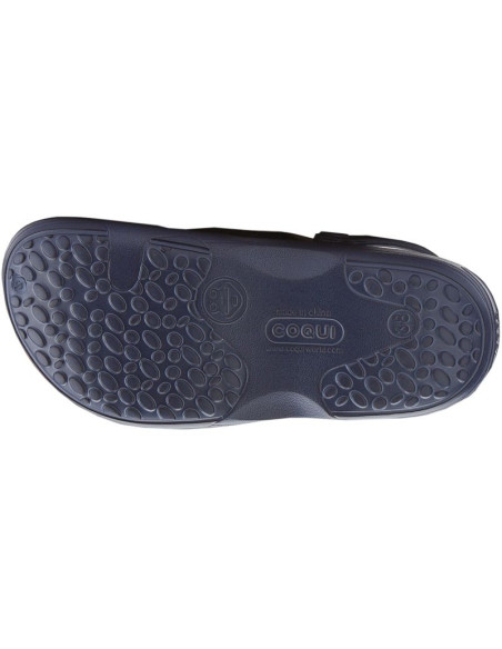 Chodaki coqui tina w 1353