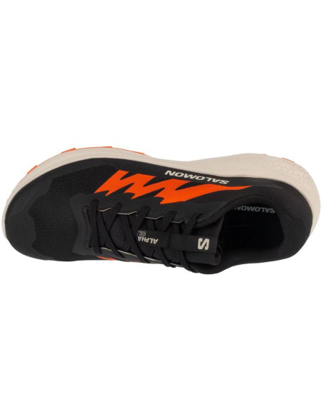 Buty do biegania salomon alphaglide m