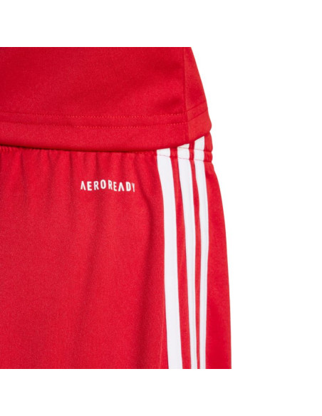 Spodenki adidas squadra 25 jr