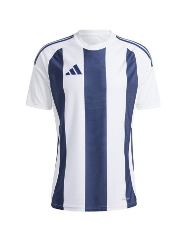 Koszulka adidas striped 24 jsy m