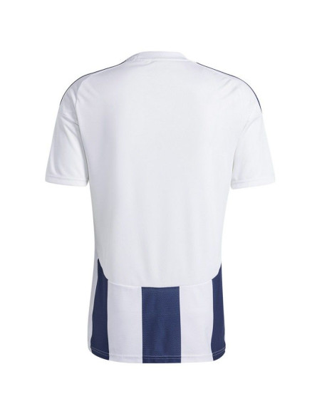 Koszulka adidas striped 24 jsy m