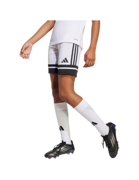 Spodenki adidas squadra 25 jr