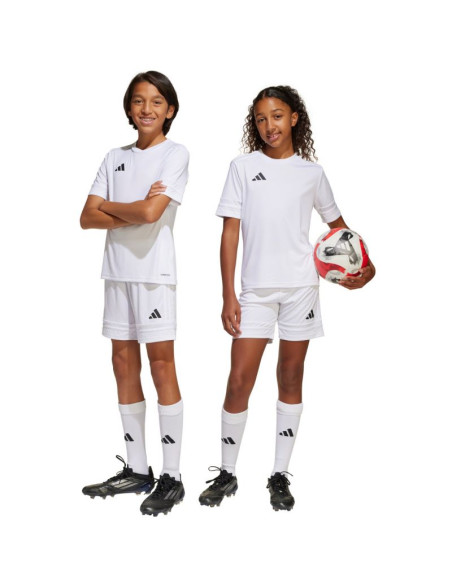 Spodenki adidas squadra 25 jr