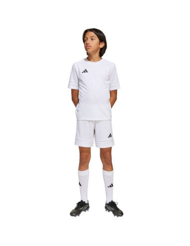 Spodenki adidas squadra 25 jr