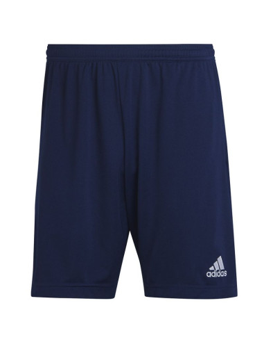 Spodenki adidas entrada 22 training short m