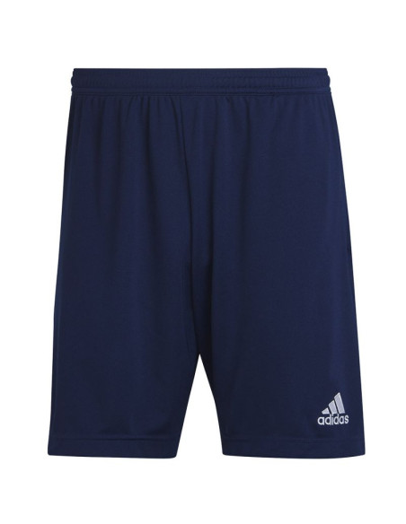Spodenki adidas entrada 22 training short m