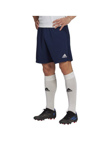 Spodenki adidas entrada 22 training short m