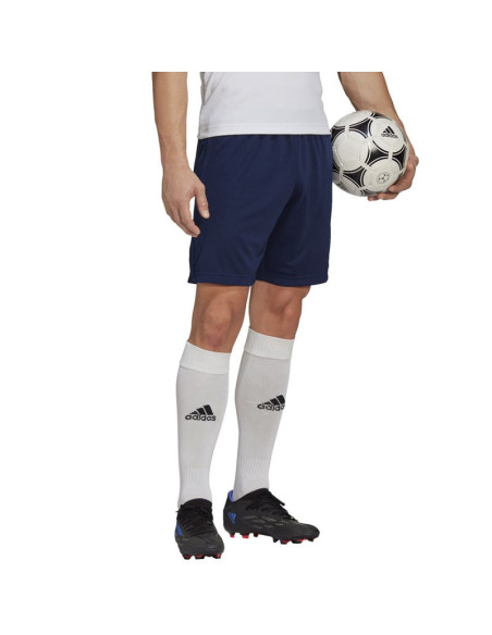 Spodenki adidas entrada 22 training short m