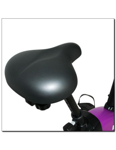 Rowerek magnetyczny fioletowy hms m9239v