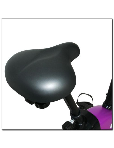 Rowerek magnetyczny fioletowy hms m9239v