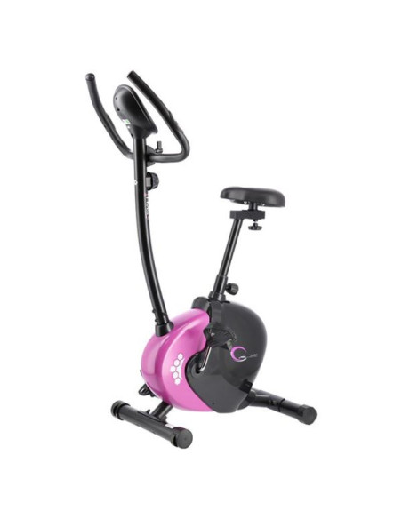 Rowerek magnetyczny fioletowy hms m9239v