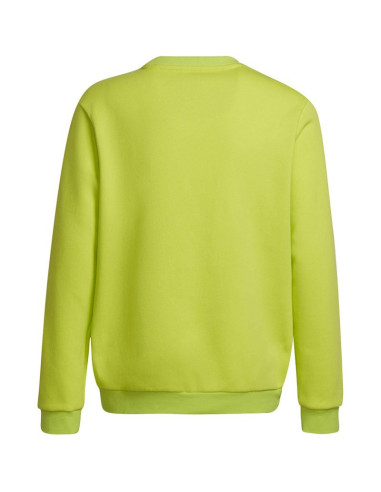 Bluza adidas entrada 22 sweat top jr