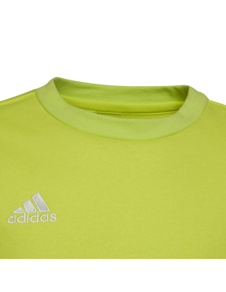 Bluza adidas entrada 22 sweat top jr