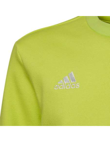 Bluza adidas entrada 22 sweat top jr