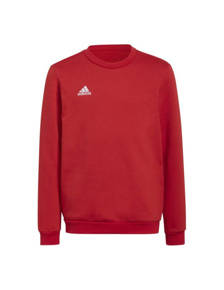 Bluza adidas entrada 22 sweat jr