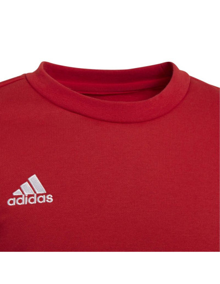 Bluza adidas entrada 22 sweat jr