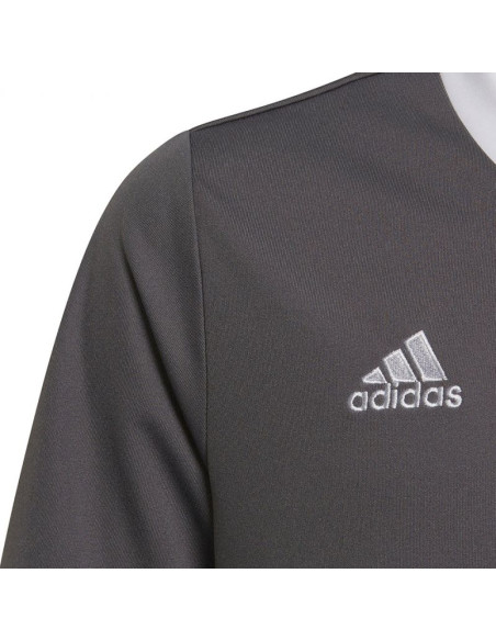 Koszulka adidas entrada 22 jsy jr