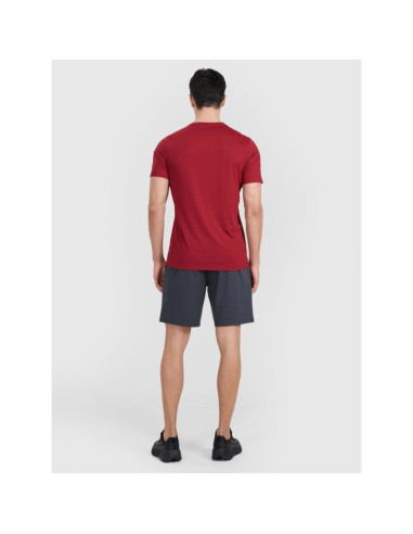 Spodenki treningowe szybkoschnące męskie 4f 4fwmm00tfshm1310-22m