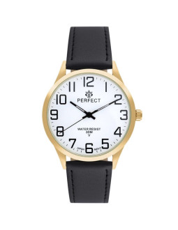 Zegarek męski perfect gxb452-11