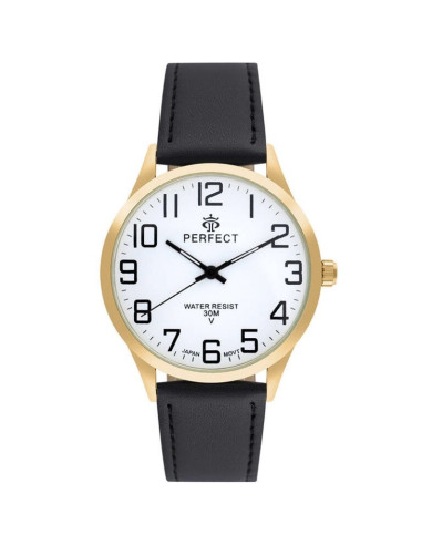 Zegarek męski perfect gxb452-11