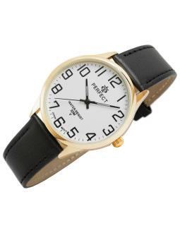 Zegarek męski perfect gxb452-11 2