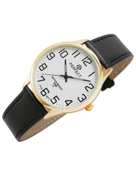 Zegarek męski perfect gxb452-11