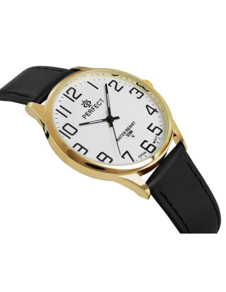 Zegarek męski perfect gxb452-11