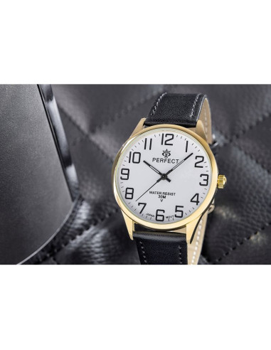 Zegarek męski perfect gxb452-11