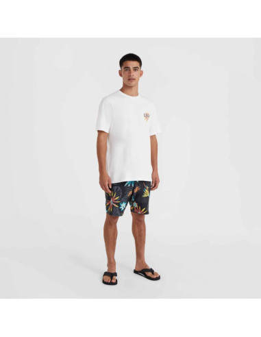 Koszulka o'neill beach graphic t-shirt m