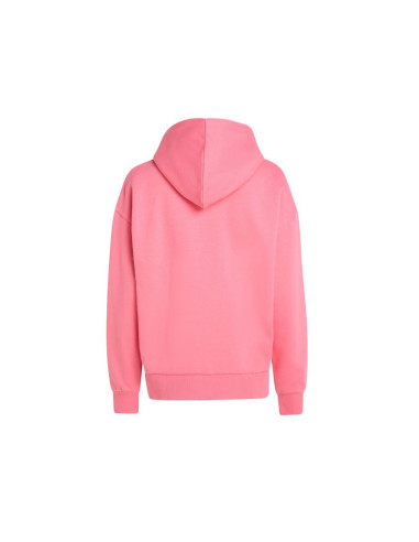 Bluza o'neill future surf society hoodie w