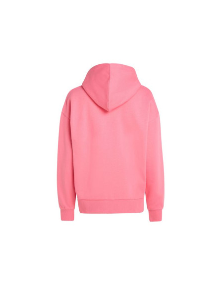 Bluza o'neill future surf society hoodie w