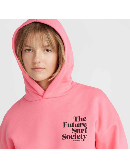 Bluza o'neill future surf society hoodie w