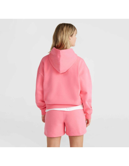 Bluza o'neill future surf society hoodie w