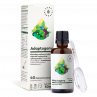 Adaptogeny - bakopa, wąkrota, ashwaghanda, kadzidłowiec (50 ml)